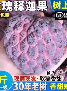 顺丰海南玫瑰红释迦果新鲜水果现摘牛奶凤梨释迦番荔枝佛头牟尼果