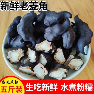 现摘新鲜老菱角粉糯好吃