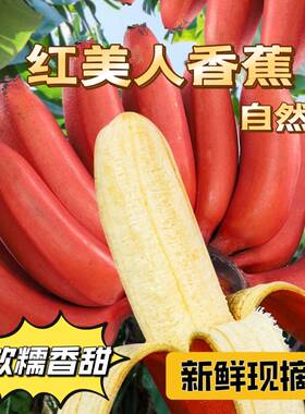 新鲜水果正宗福建红皮香蕉红色土楼香蕉自然成熟薄皮甜糯整箱包邮