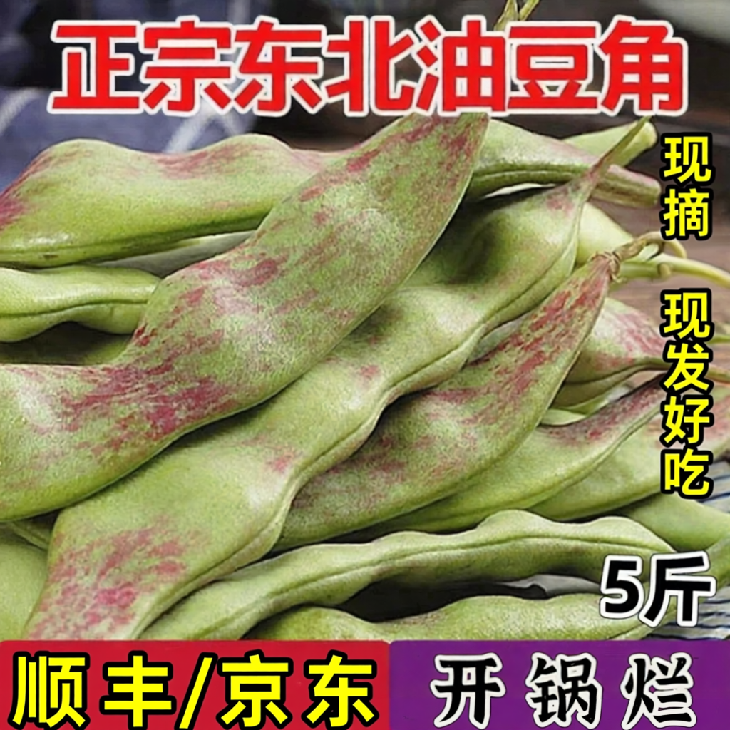 现摘东北特产油豆角一点红正宗新鲜当季农产品九月青面扁宽豆角嫩
