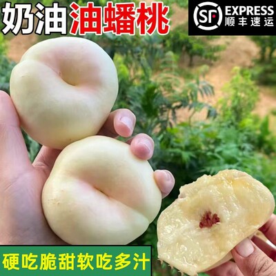 顺丰正宗蒙阴奶油白蟠桃子新鲜水果现摘应季白桃冰糖奶油扁桃蟠桃