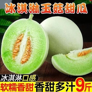 玉菇头茬甜瓜正宗冰淇淋白皮绿肉香瓜蜜瓜脆瓜新鲜水果当季哈密瓜