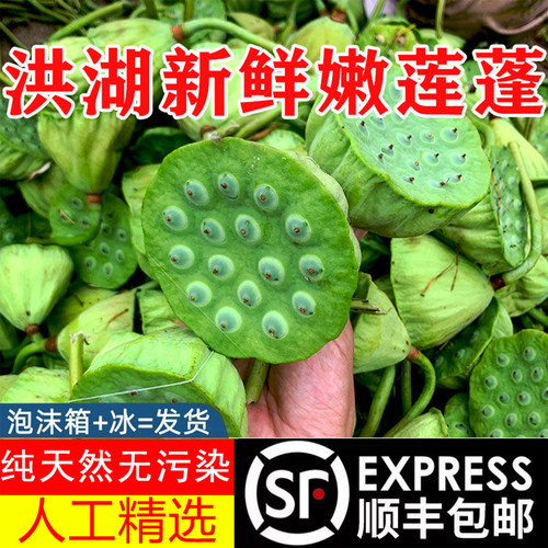 2026年湖北洪湖新鲜莲蓬现摘现发甜嫩鲜莲子旗舰店生吃水果生莲子