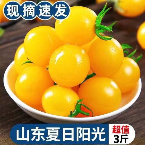 顺风黄色圣女果夏日阳光樱桃千禧小番茄新鲜水果酸甜小西红柿现摘