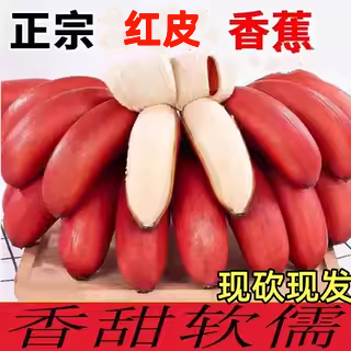 福建漳州红皮香蕉整箱5斤应季新鲜水果香甜土楼红皮banana水果5