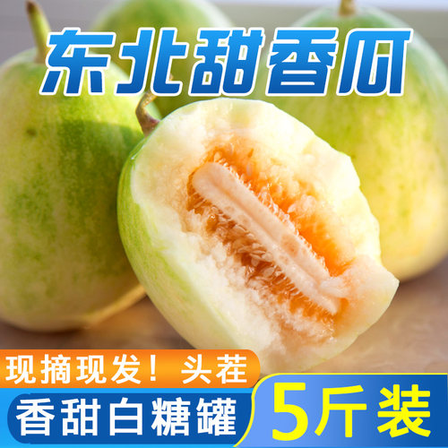 单念东北特产大地香瓜