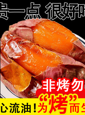 果榴缘中国山东中国大陆