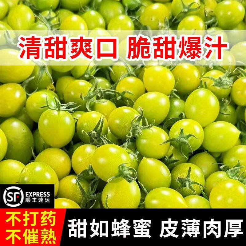 正宗潍坊青甜2号当季脆甜新鲜清甜小番茄非青口蜜圣女果柿子顺丰