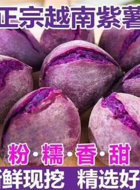 正宗越南小紫薯粉糯香甜