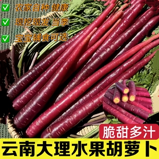 现挖云南大理胡萝卜紫色新鲜花青素紫皮农家水果胡萝卜脆甜生吃9