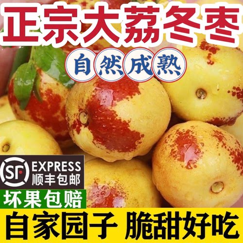 正宗陕西大荔冬枣现摘特大脆甜