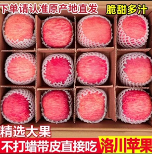 正宗陕西延安洛川苹果官方旗舰店9斤新鲜水果当季 红富士产地直发