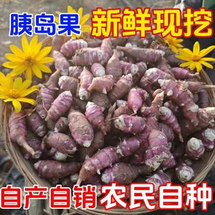 胰岛果现挖新鲜红皮洋生姜鬼子姜红果腌酱泡咸菜甜姜野5斤菊芋生