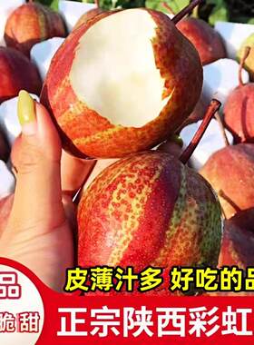 陕西特产彩虹梨大果脆甜薄皮