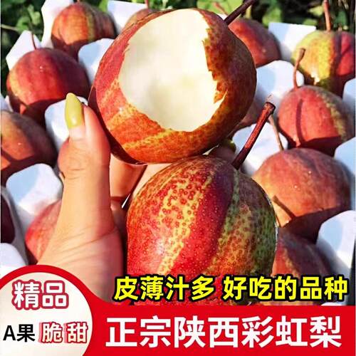 陕西特产彩虹梨大果脆甜薄皮