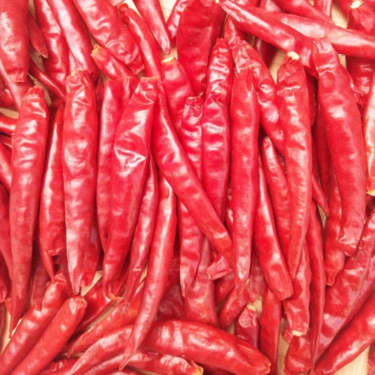 红太阳干辣椒微特香板面