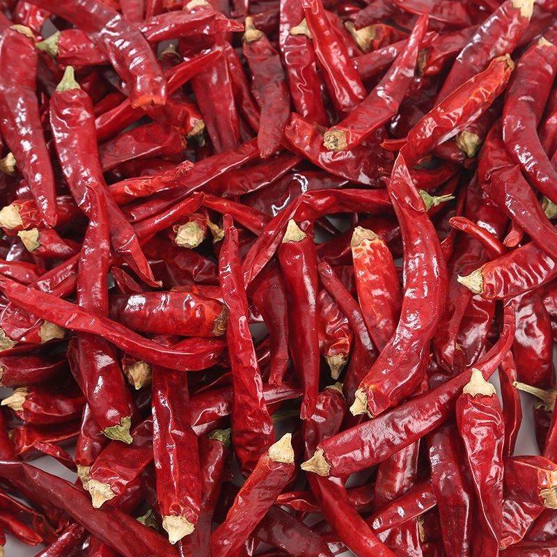 河南非新一代辣椒天鹰海