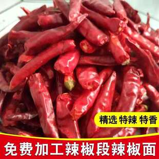 优质精品红太阳板面专用干辣椒内黄新一代朝天椒辣椒面辣椒段