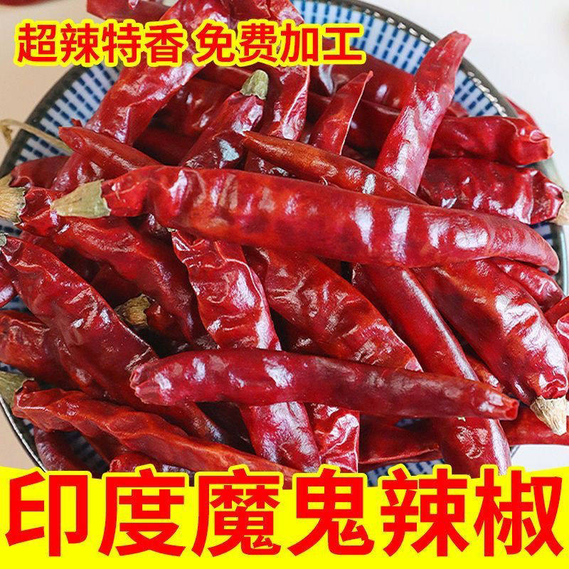印度椒s17魔鬼椒高辣特辣超辣香辣辣椒巨辣魔鬼椒商用特辣王