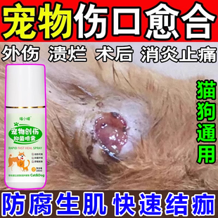宠物猫狗伤口愈合药剂促进长肉去腐生肌溃烂消炎防感染外伤药膏