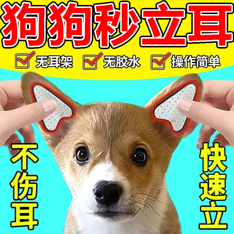 宠物狗狗立耳朵神器雪纳瑞德牧杜宾泰迪柯基幼犬固定辅助立耳贴