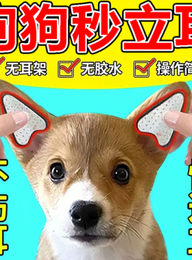 宠物狗狗立耳朵神器雪纳瑞德牧杜宾泰迪柯基幼犬固定辅助立耳贴