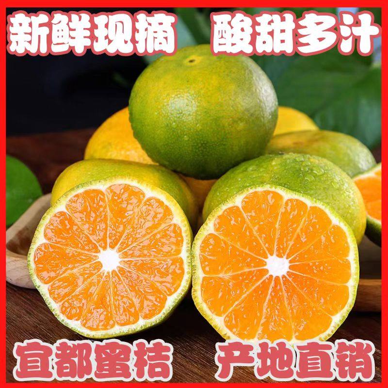 【已卖完】湖北宜昌宜都市现摘新鲜蜜桔橘子特早熟青黄皮孕妇酸清