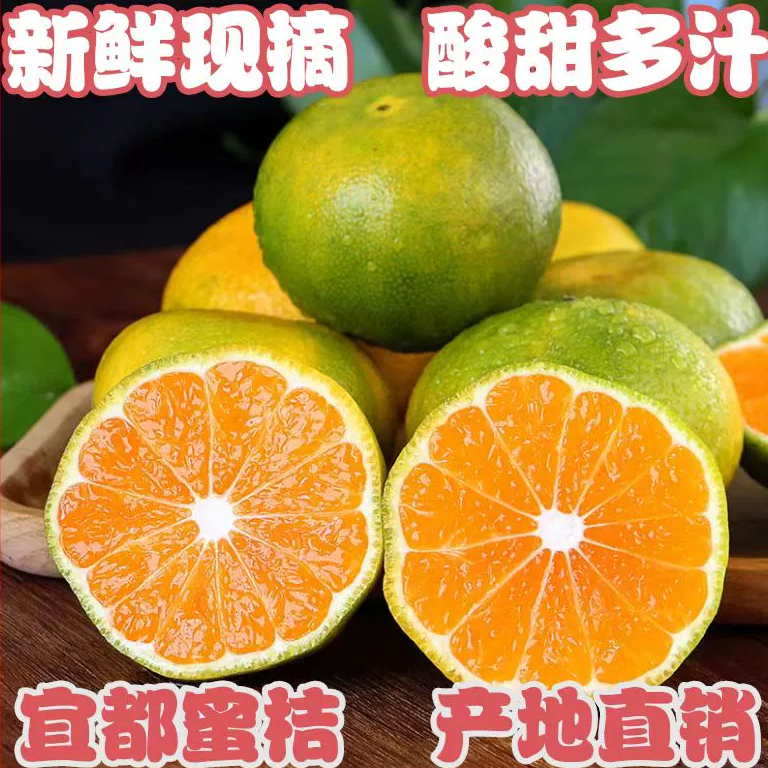 正宗湖北宜都市现摘新鲜蜜桔蜜桔