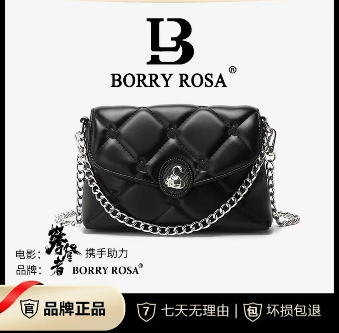 BORRY ROSA/柏丽罗莎轻奢女包新款天鹅刺绣手提包质感斜跨小方包