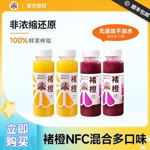 褚橙NFC橙汁葡萄汁鲜榨蓝莓饮料245ml不加水不加糖非浓缩还原果汁