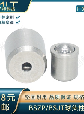BSZP/BSJT不锈钢重载型压入式定位珠球头柱塞MT605/MT606