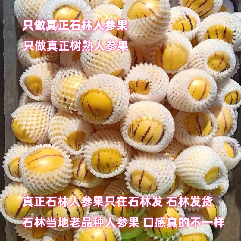 优选人参果新鲜云南石林人叁果圆果人生果娃娃果七彩黄肉整箱