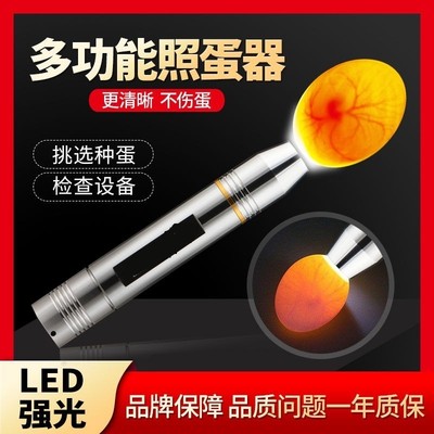 照蛋器led手电筒式强光冷光照蛋灯检查受精蛋小鸡蛋乌龟孵化专用