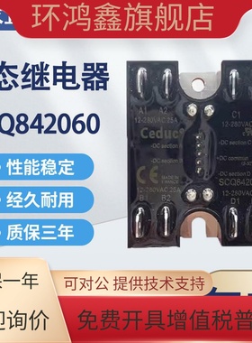 赛德Celduc4极固态继电器SCQ842060 实物拍摄 快达crydom TD2420Q
