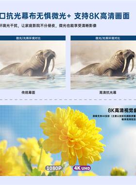 VIVIDSTORM 抗光投影幕布 投影仪幕布自动升降 家用影院 会议投影