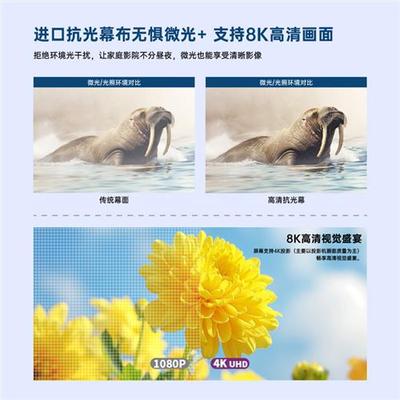 VIVIDSTORM 抗光投影幕布 投影仪幕布自动升降 家用影院 会议投影