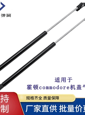 厂供适用于霍顿Holden Commodore汽车引擎机盖支撑杆液压杆气弹簧