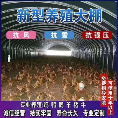 养殖大棚全套大棚骨架家用温室种植棚专业养鸡棚羊棚牛棚养猪大棚