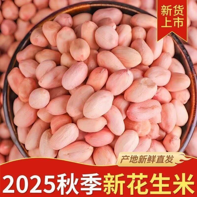 精选白沙花生当季新货大颗粒无壳