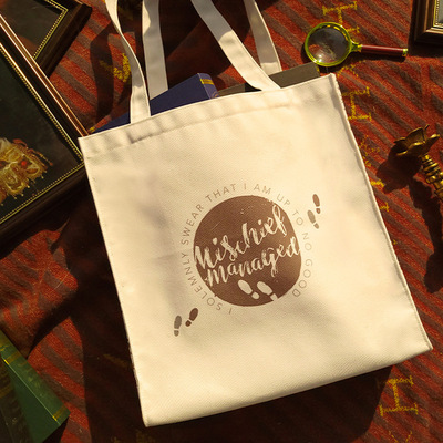 哈利波特女士单肩包电脑包挎包