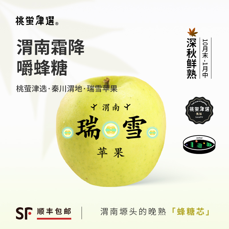 珍！桃萤津选 瑞雪苹果 梨脆如雪 晚熟蜂糖芯 渭南白水产 礼盒 SF