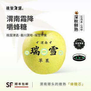 珍！桃萤津选 瑞雪苹果 梨脆如雪 晚熟蜂糖芯 渭南白水产 礼盒 SF