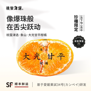 稀！桃萤津选 大光甘平柑橘 日引大粒果肉新种 象山定塘产 礼盒SF