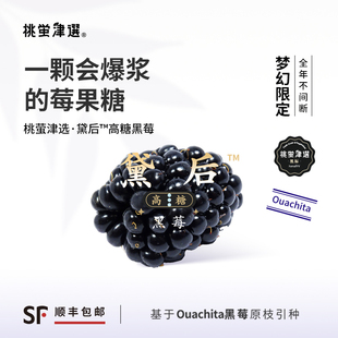 桃萤津选 黛后™高糖黑莓 梦幻甜感 美国OFC奖黑莓引种 礼盒装 SF