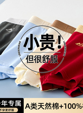 ABC DUSP官方正品青少年内裤纯棉a类男生发育期马年本命年平角裤