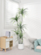 彷真龙血树高端轻奢假绿植室内客厅大型落地盆栽装 饰摆件彷生植物