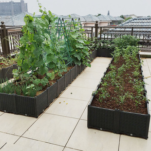 新品 蔬菜种植箱阳台菜园楼顶种菜设备特大加深种菜盆加长组合塑料