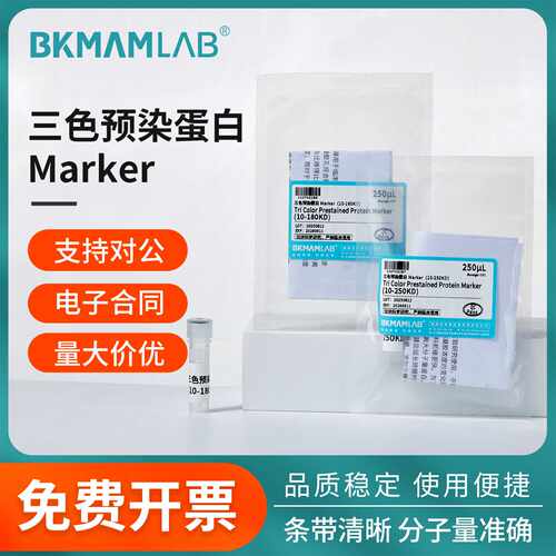 比克曼生物三色预染蛋白Marker电泳蛋白分子量标准250ul染色试剂