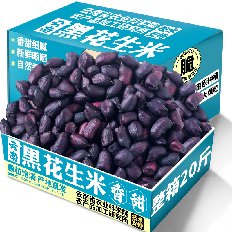 农科院新货黑花生米商用批发