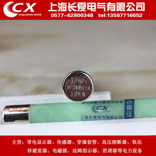 XRNP-10 高压熔断器电压互感器保护用 XRNP-12/0.5A 1A  厂家直销